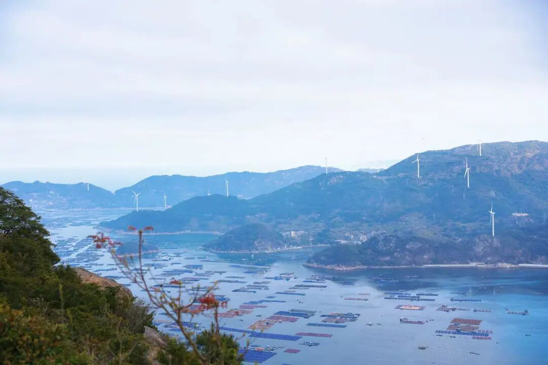 和你一起去看海|三月与丽人,一起拥抱春天